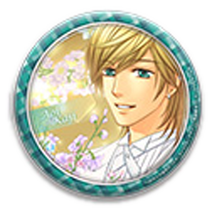 金色のコルダ　トレーディング缶バッジ　24個入りBOX