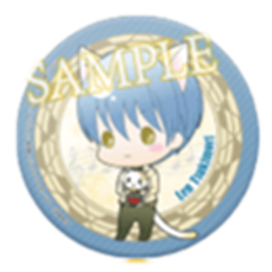 金色のコルダinナンジャタウン 魔法のヴァイオリンルーレ 演奏評価B 缶バッジ