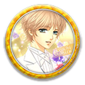 金色のコルダ　トレーディング缶バッジ　24個入りBOX