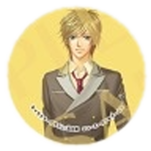 ガールズアトラクション冬祭2014 缶バッジくじ コーエーテクモゲームス