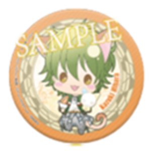 金色のコルダinナンジャタウン 魔法のヴァイオリンルーレ 演奏評価B 缶バッジ