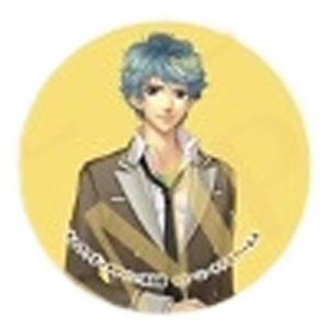 ガールズアトラクション冬祭2014 缶バッジくじ コーエーテクモゲームス