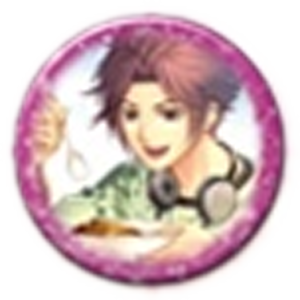 ネオロマンス 20th アニバーサリーコンサート 100万人の金色のコルダ トレーディング缶バッジ VOL.2