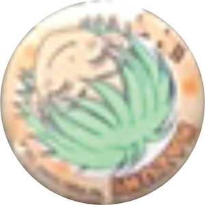 金色のコルダ 美麗7キャラ★ときめきスクールバッグ(缶バッジ付)